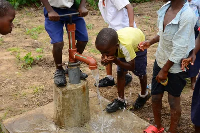 DSC_9510 (Large).JPG